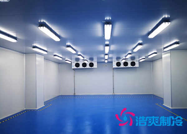 建一個制藥廠冷庫大概需要投資多少錢