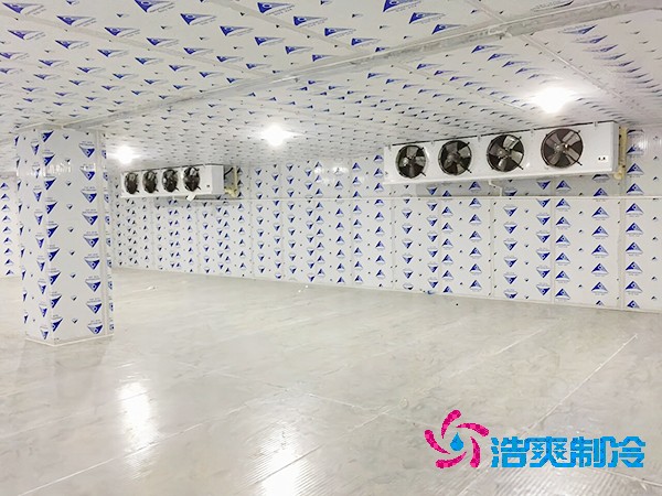 醫(yī)藥冷庫安裝費用及細節(jié)解析